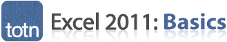 totn Excel 2011 Basics