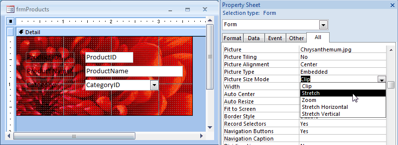 MS Access 2007: Picture as background of a form