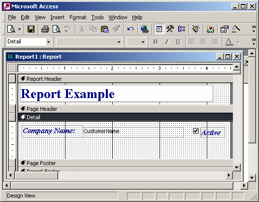 Ms Access 03 Display A Checkbox On A Report