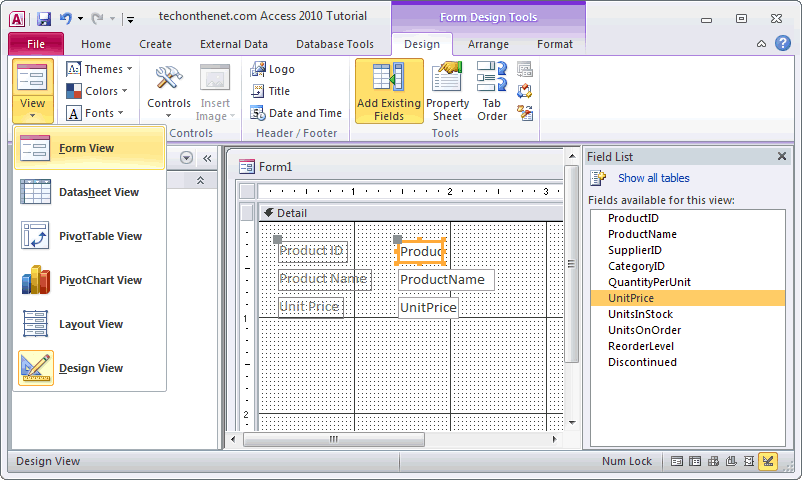 Ms Access 10 Form View