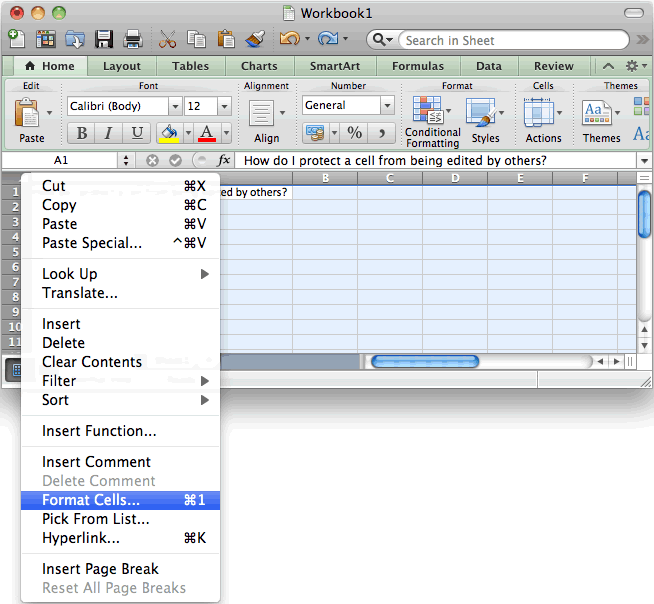 MS Excel 2011 for Mac: Protect a cell