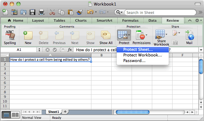 How To Lock The Formatting In Excel For Mac 2011